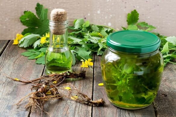 tinctură de plantă de celandină pentru ciuperca de pe degetele de la picioare